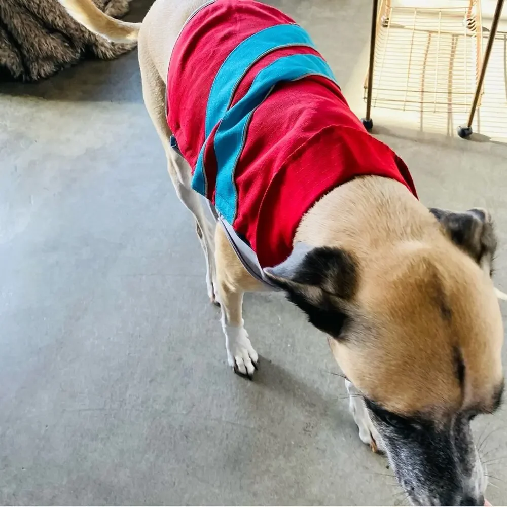 Red Blue Striped Grey Hook Loop Rain Coat Jacket Lined Leash Hole Dog Puppy